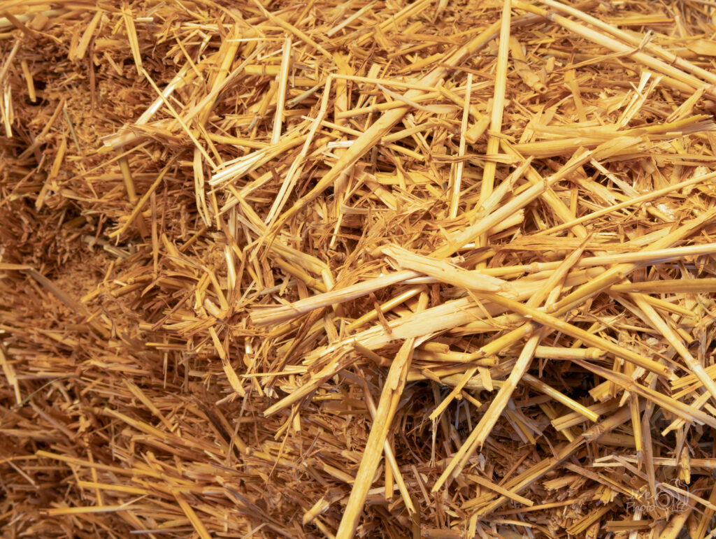 Close up full frame picture of yellow straw with varying textures and shadows.