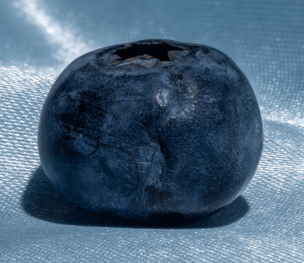 Week 5 - Blue: Blueberry